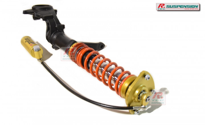 Citroen Saxo front Proflex shock absorber Gr.A